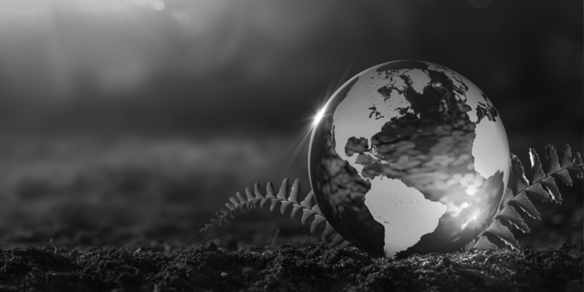 ESG: Looking ahead to 2025