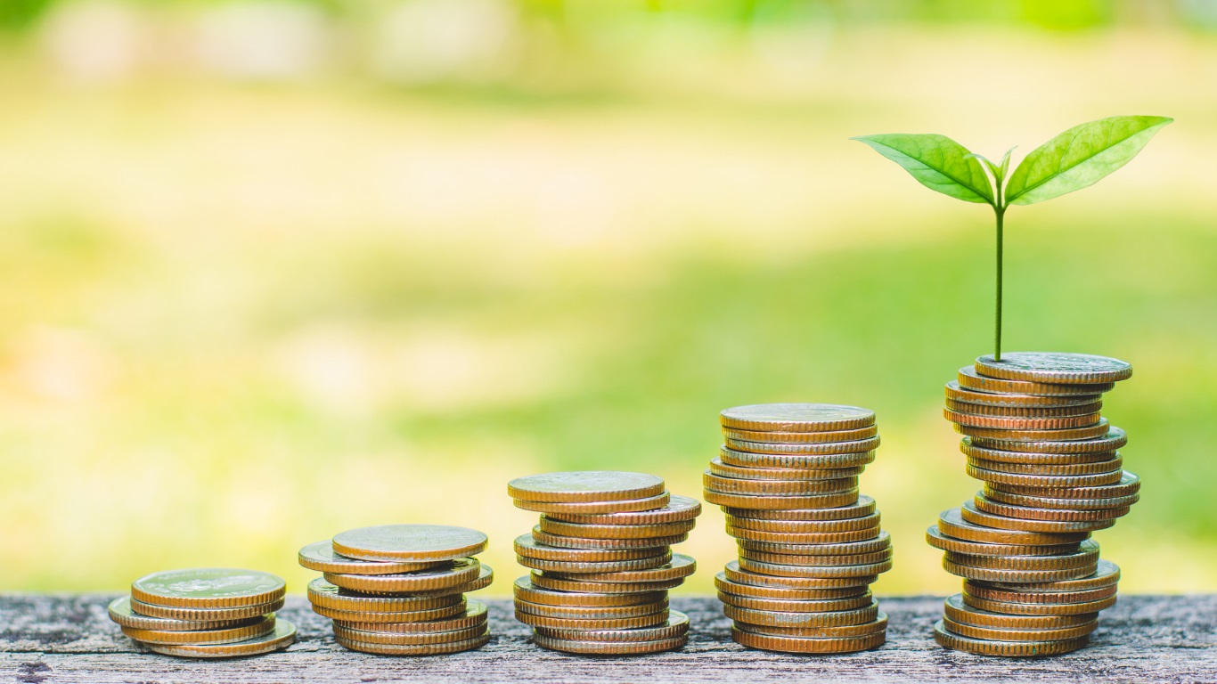 ESG niches: What makes a green portfolio?