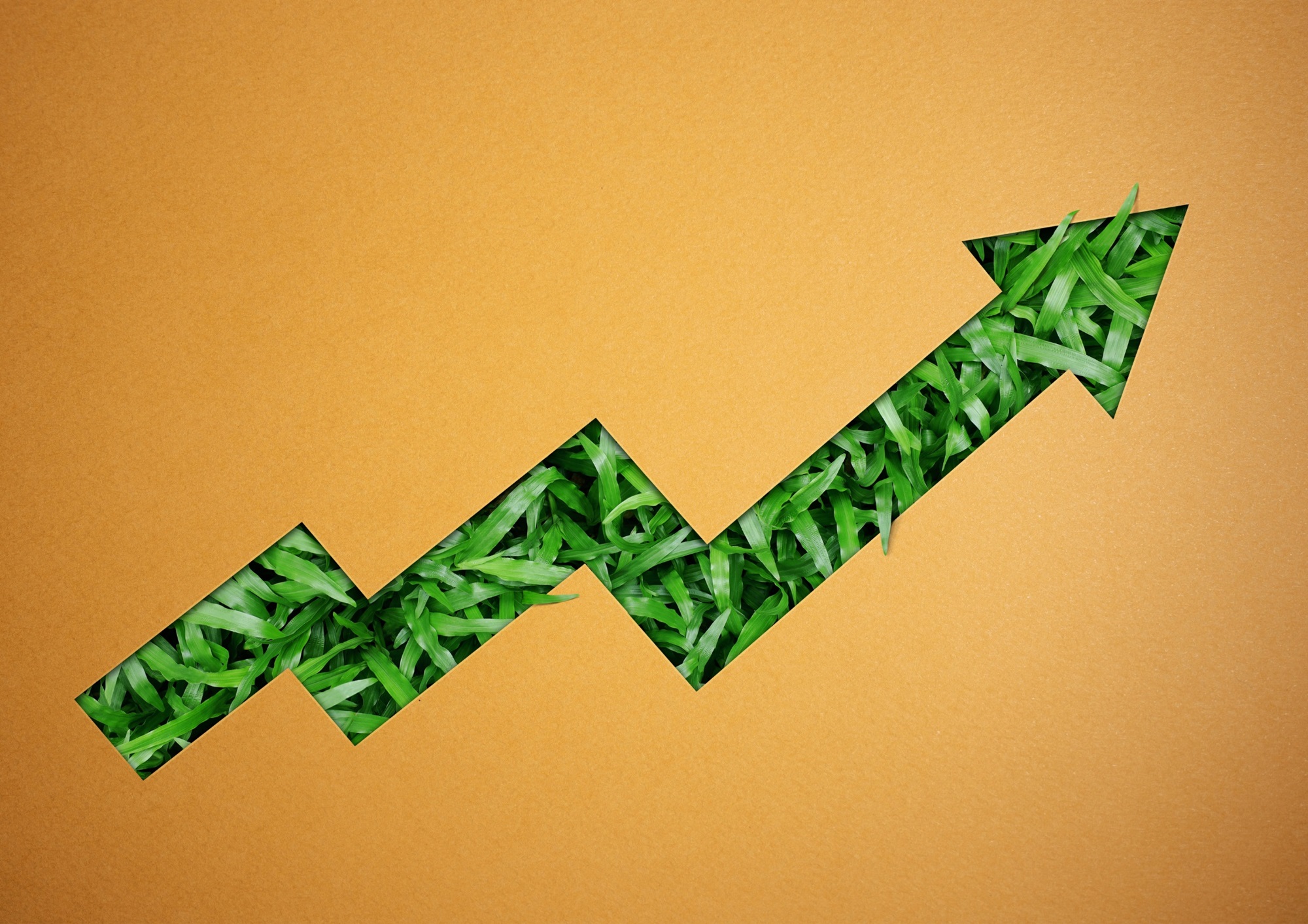 Making sense of ESG ratings